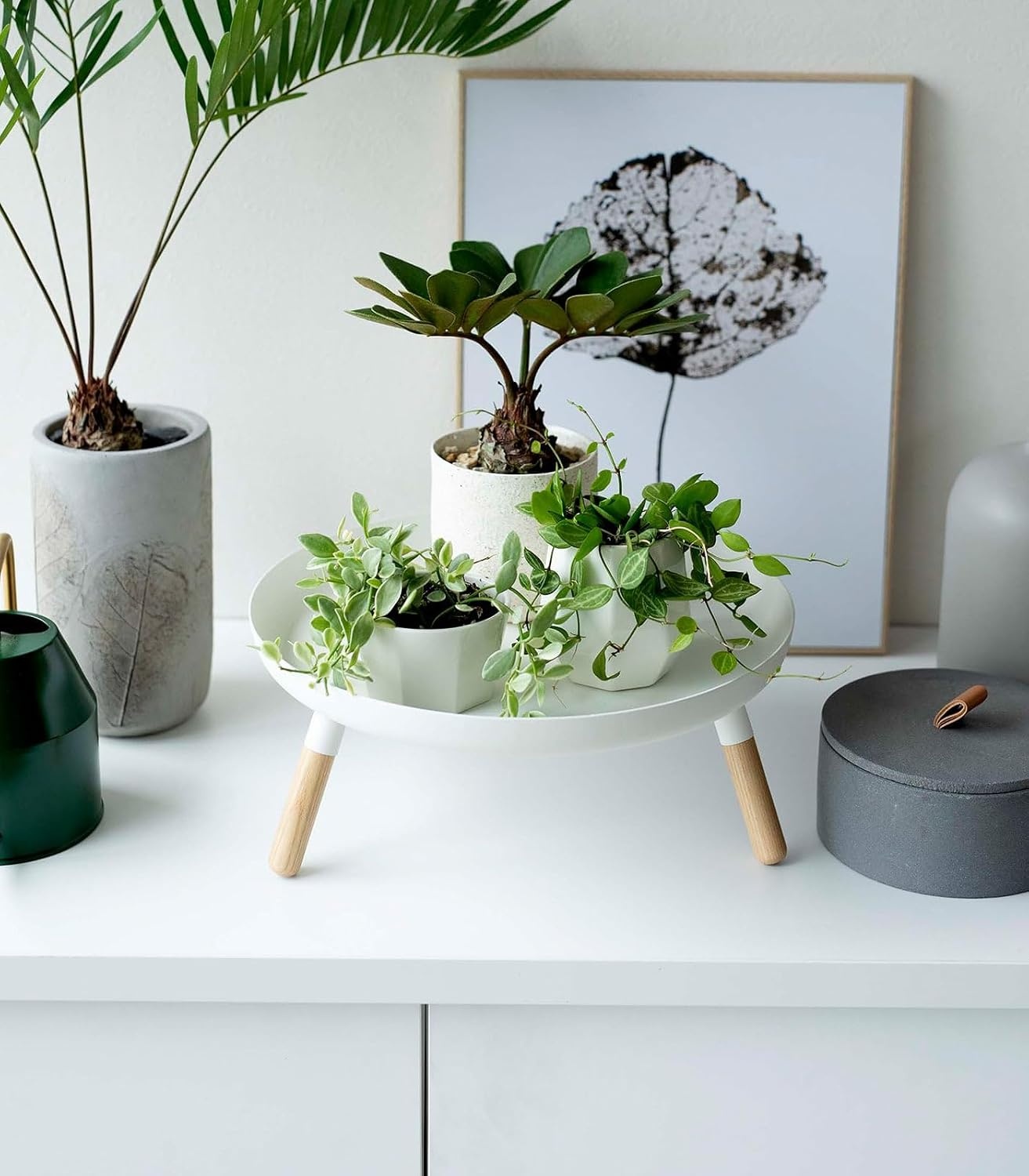 image:imageYAMAZAKI Home Plain Metal Pedestal Table Tray with Wooden Legs for Countertop Or Floor Holds Fruit Plants Tea 5 Steel WoodWhite