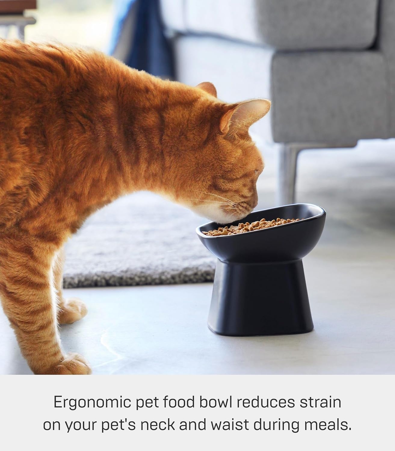 image:imageYamazaki Home Tower Elevated Ceramic Pet Food Bowl Angled NonSlip Microwave amp Dishwasher Safe 67OzBlack