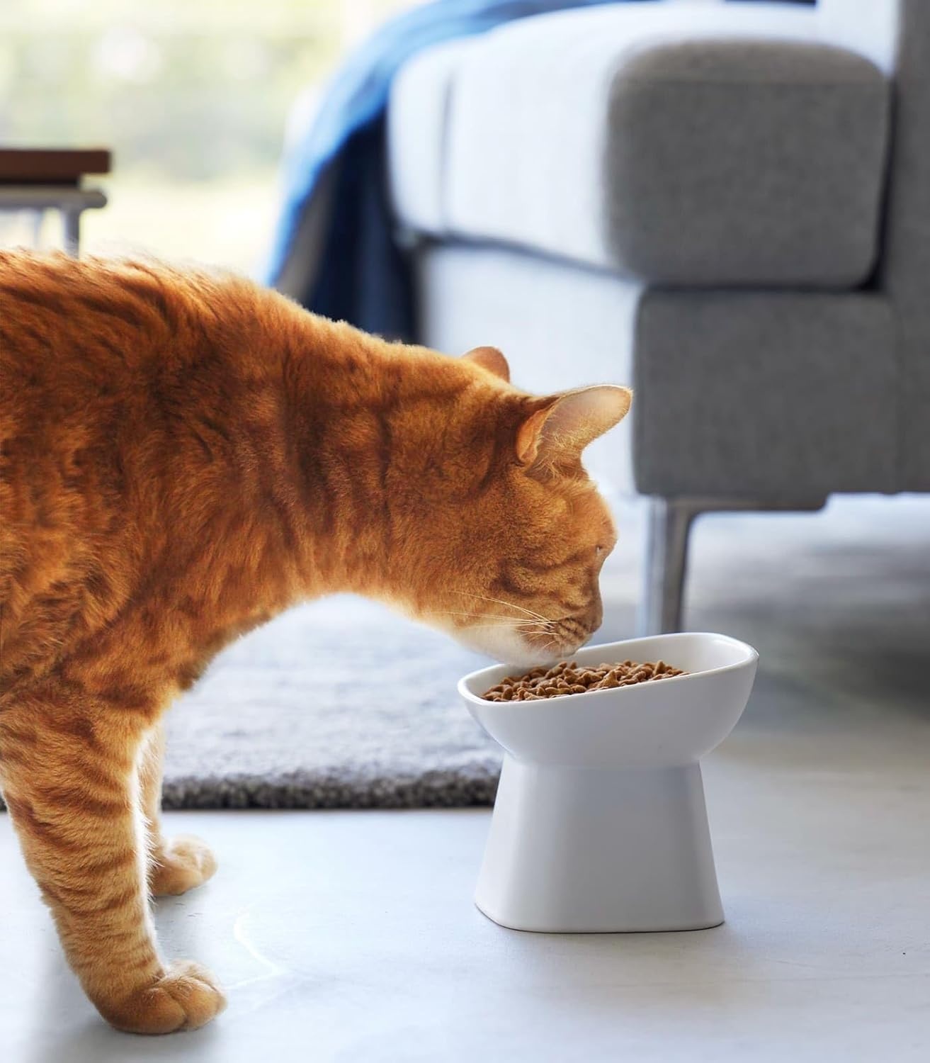 image:imageYamazaki Home Tower Elevated Ceramic Pet Food Bowl Angled NonSlip Microwave amp Dishwasher Safe 67OzWhite