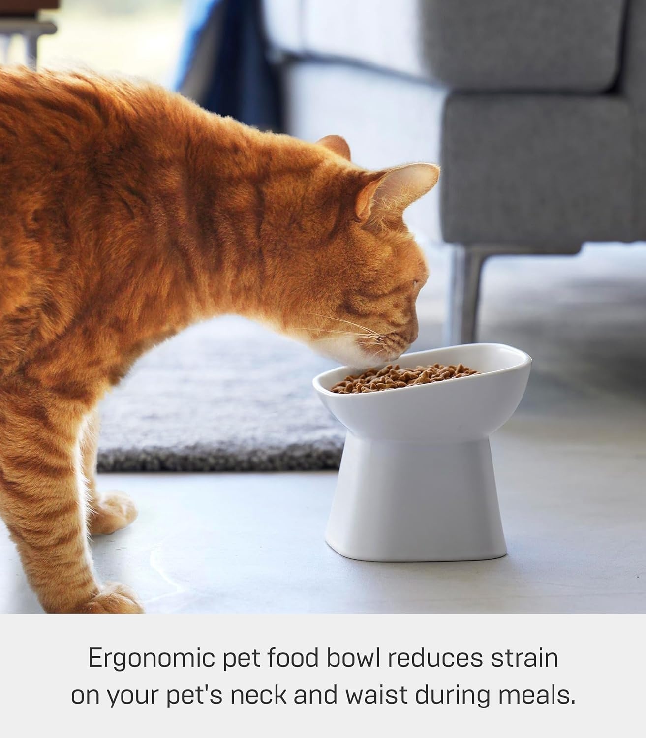 image:imageYamazaki Home Tower Elevated Ceramic Pet Food Bowl Angled NonSlip Microwave amp Dishwasher Safe 67OzWhite